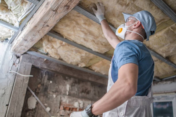 Best Local Insulation Services  in Litchfield, MN