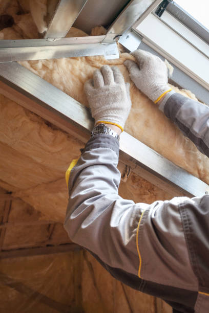 Attic Insulation Near Me in Litchfield, MN