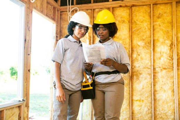 Best Home Insulation Services  in Litchfield, MN